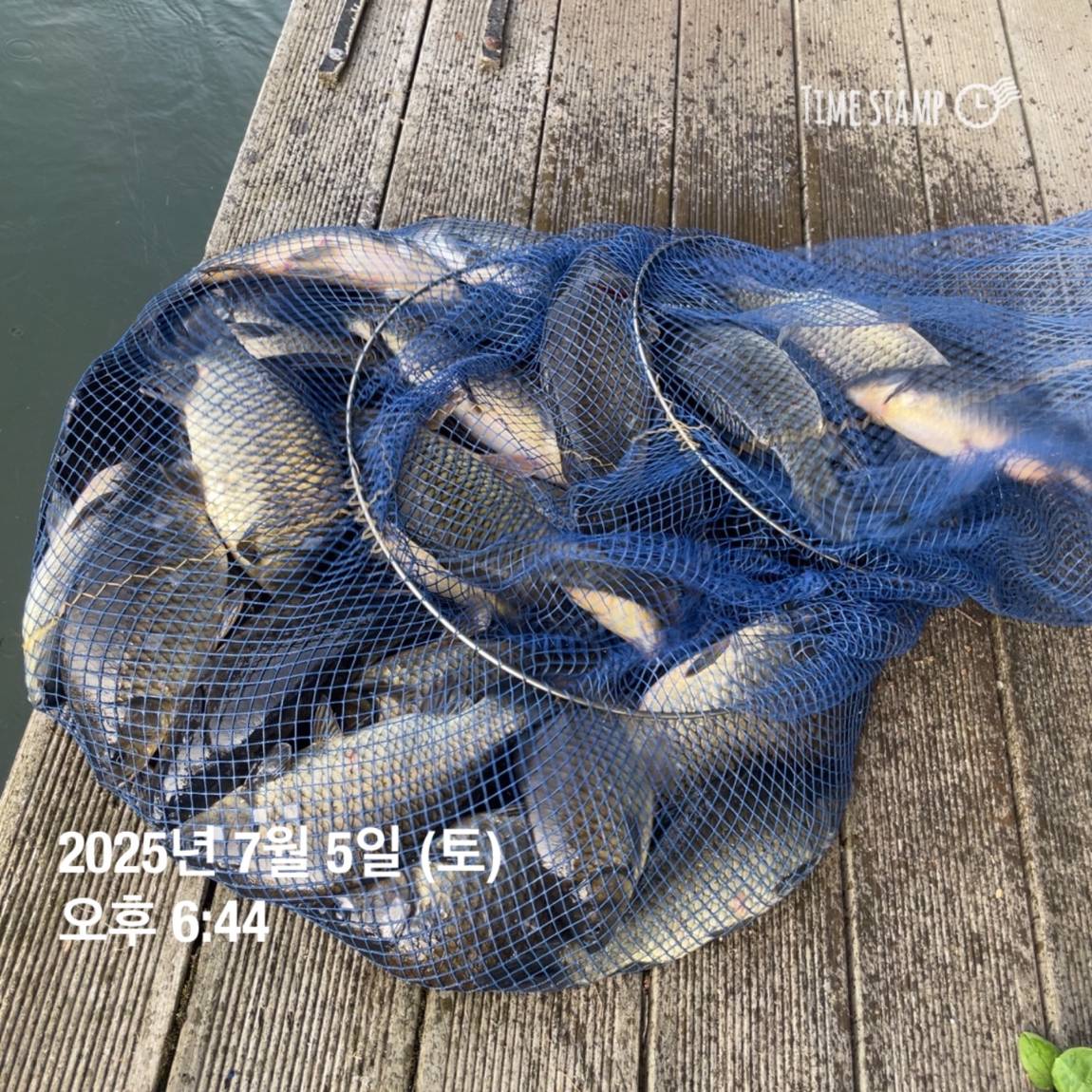 KakaoTalk_20250707_112633487_13.jpg