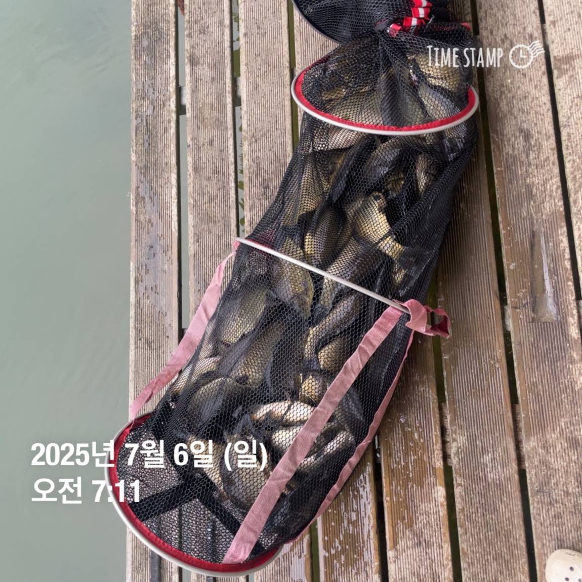 KakaoTalk_20250707_112633487_18.jpg