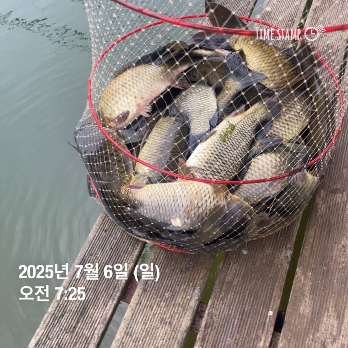 KakaoTalk_20250707_112633487_21.jpg