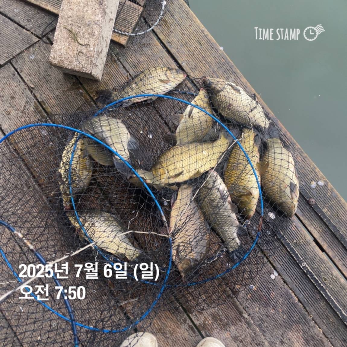 KakaoTalk_20250707_112633487_24.jpg