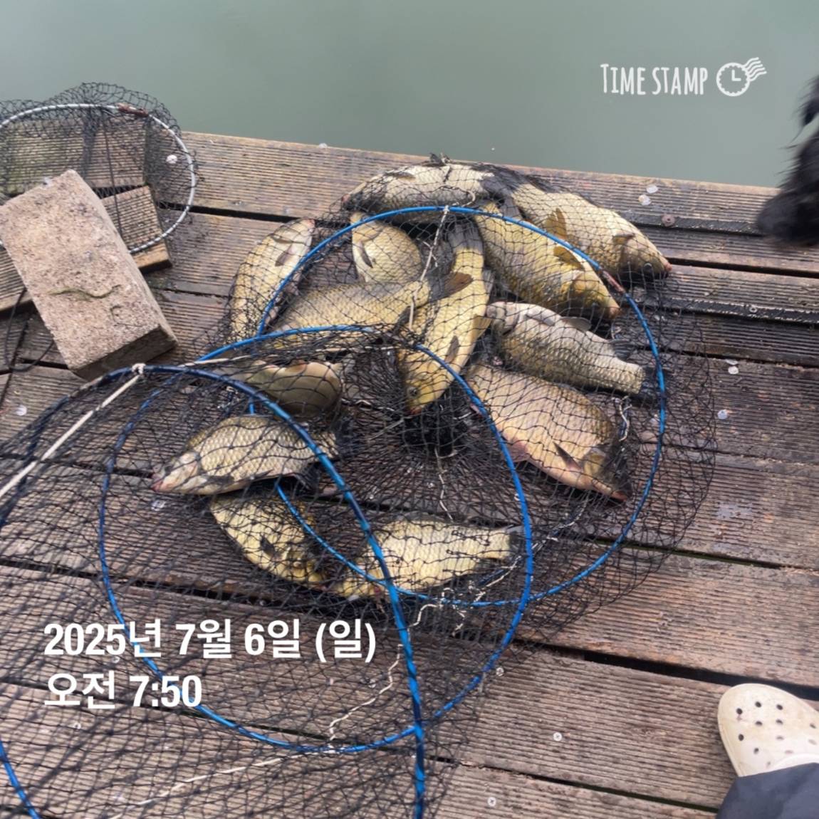 KakaoTalk_20250707_112633487_26.jpg