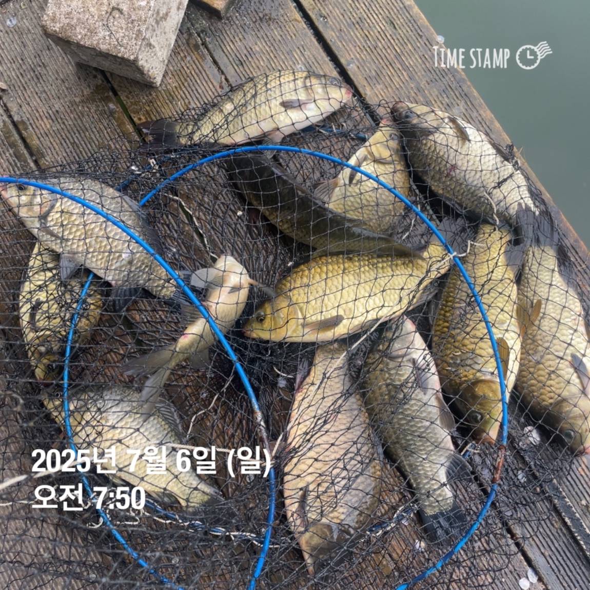 KakaoTalk_20250707_112633487_25.jpg