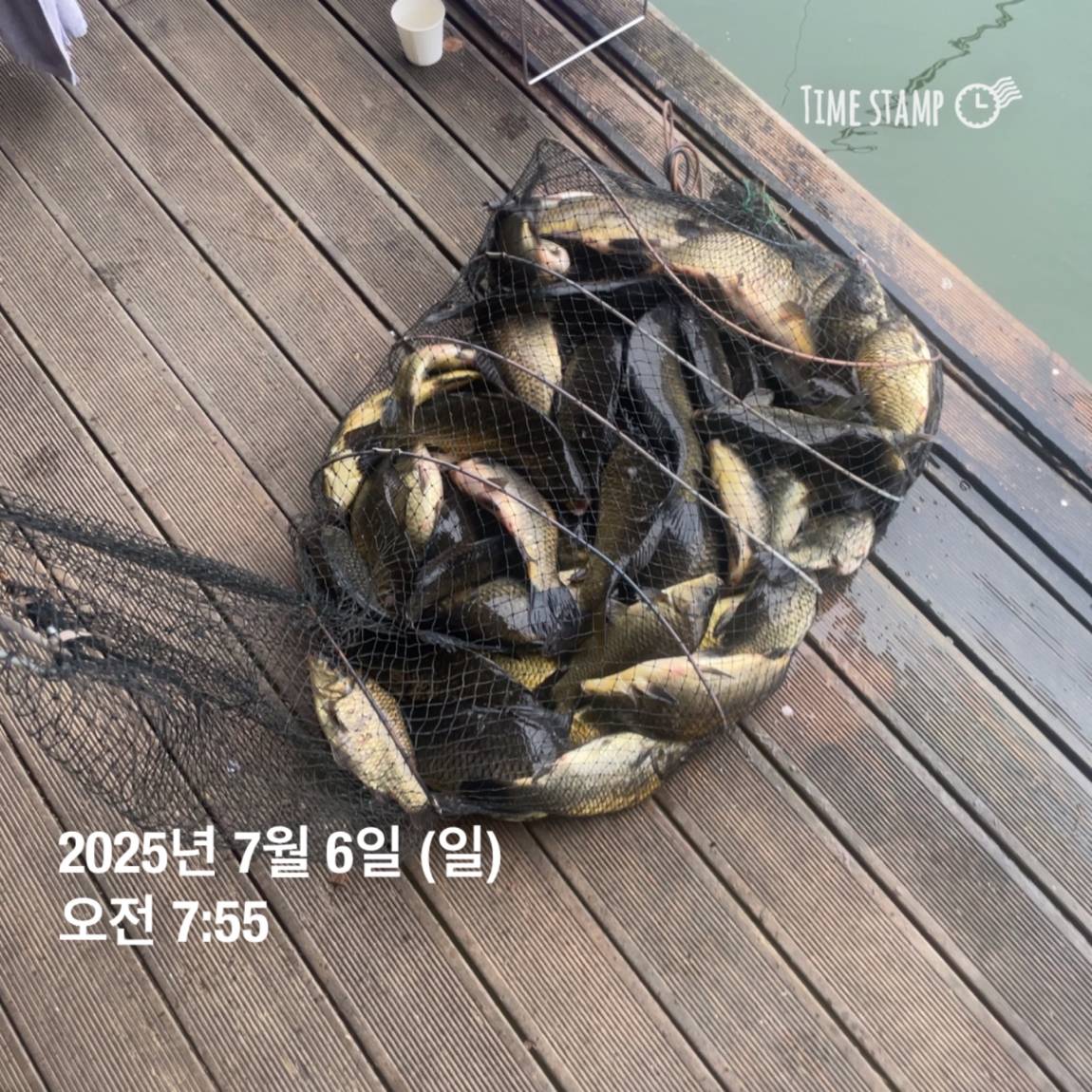 KakaoTalk_20250707_112633487_28.jpg