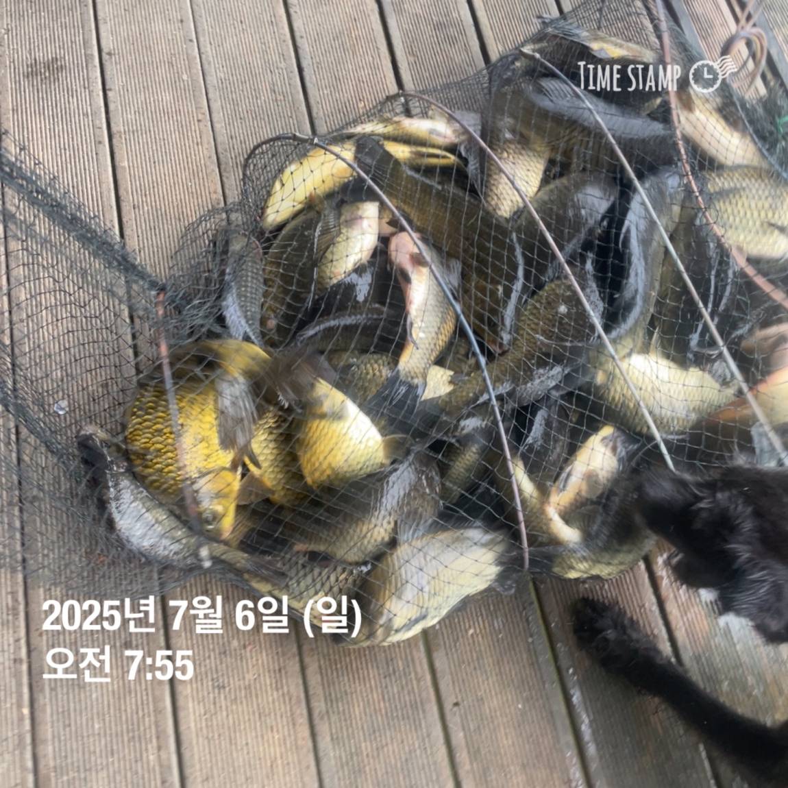 KakaoTalk_20250707_112633487_29.jpg