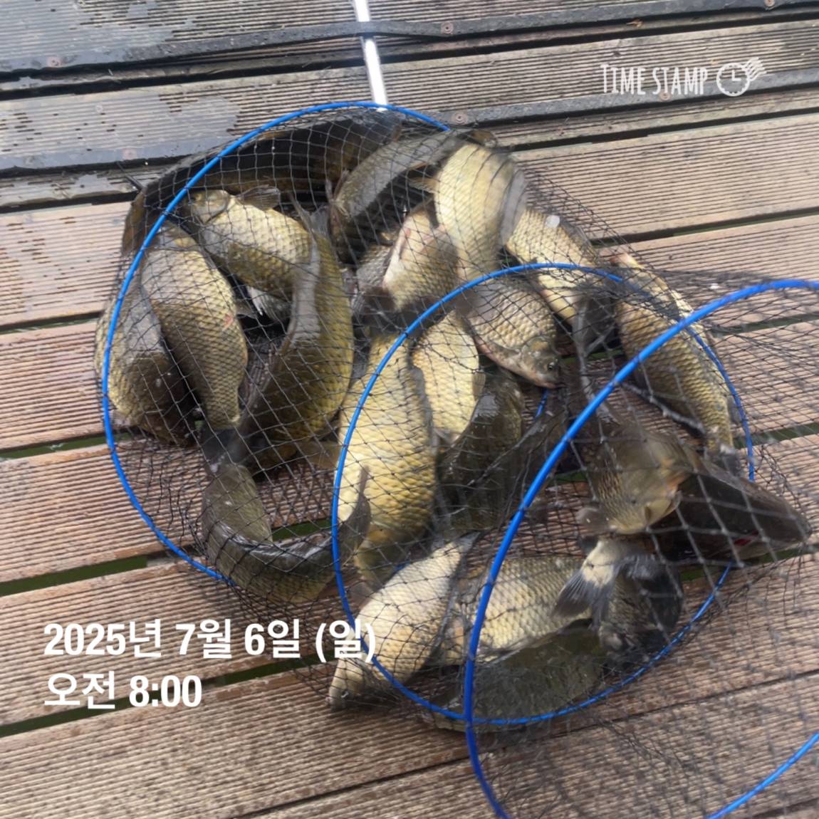 KakaoTalk_20250707_112641150_05.jpg