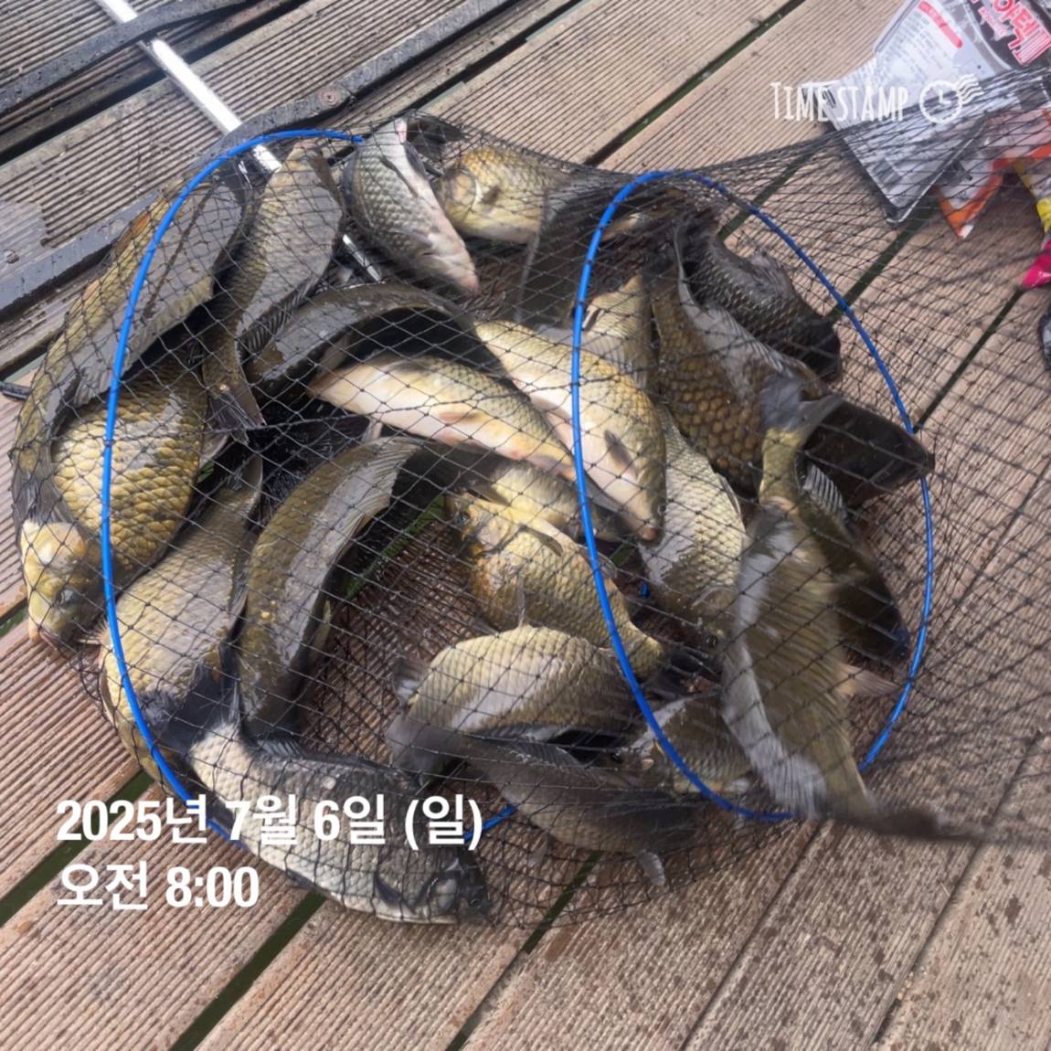 KakaoTalk_20250707_112641150_03.jpg