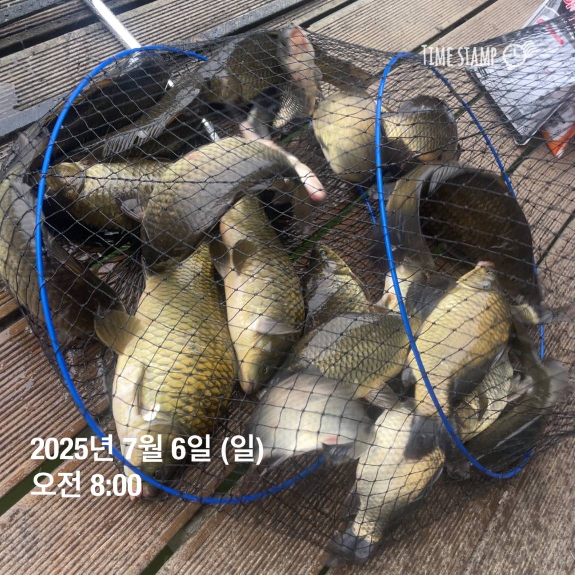 KakaoTalk_20250707_112641150_04.jpg