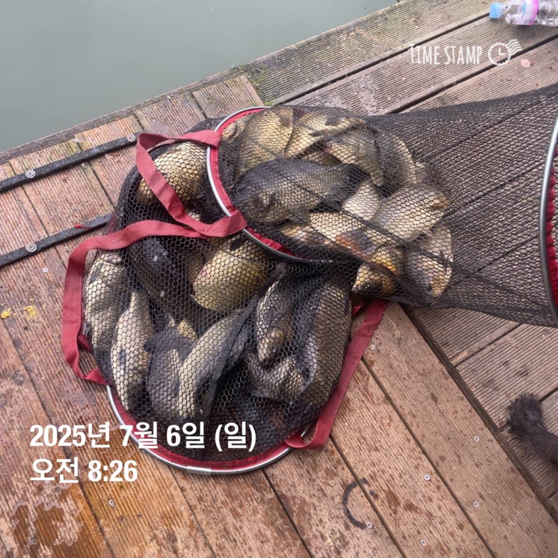 KakaoTalk_20250707_112641150_11.jpg
