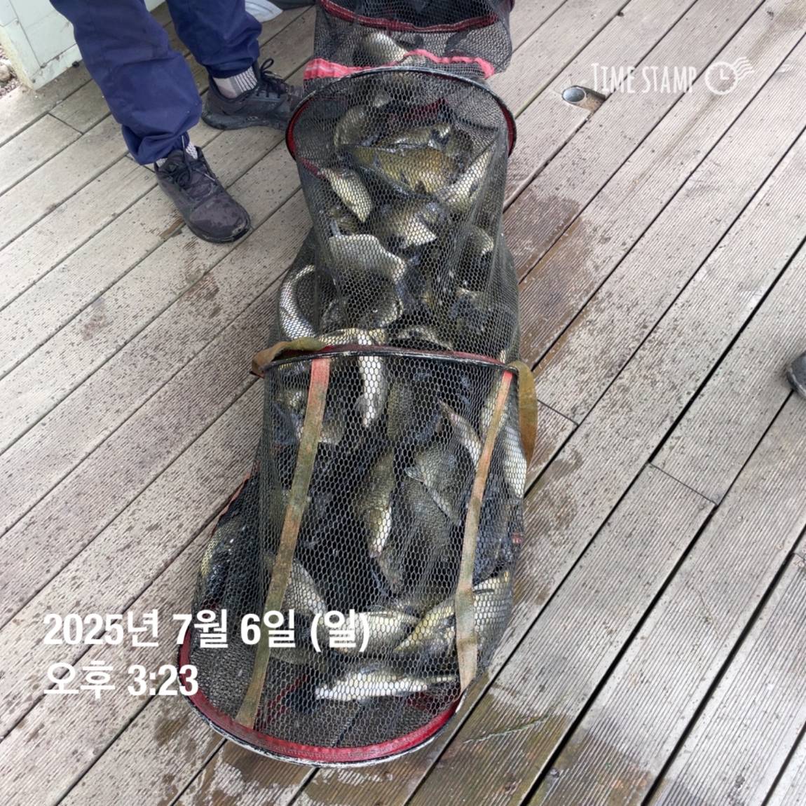 KakaoTalk_20250707_112641150_21.jpg