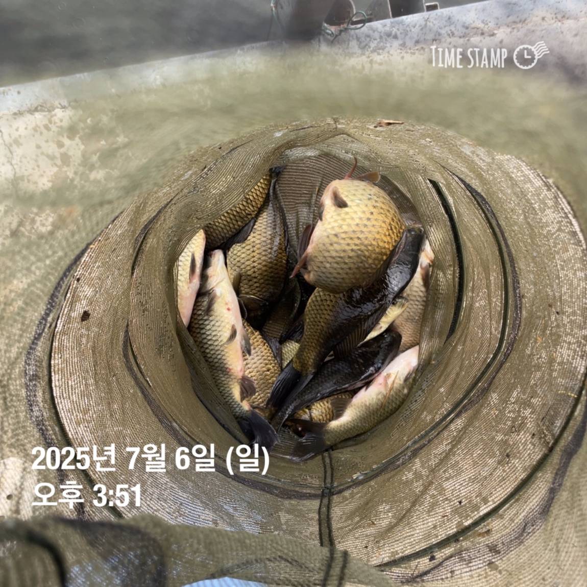 KakaoTalk_20250707_112641150_24.jpg