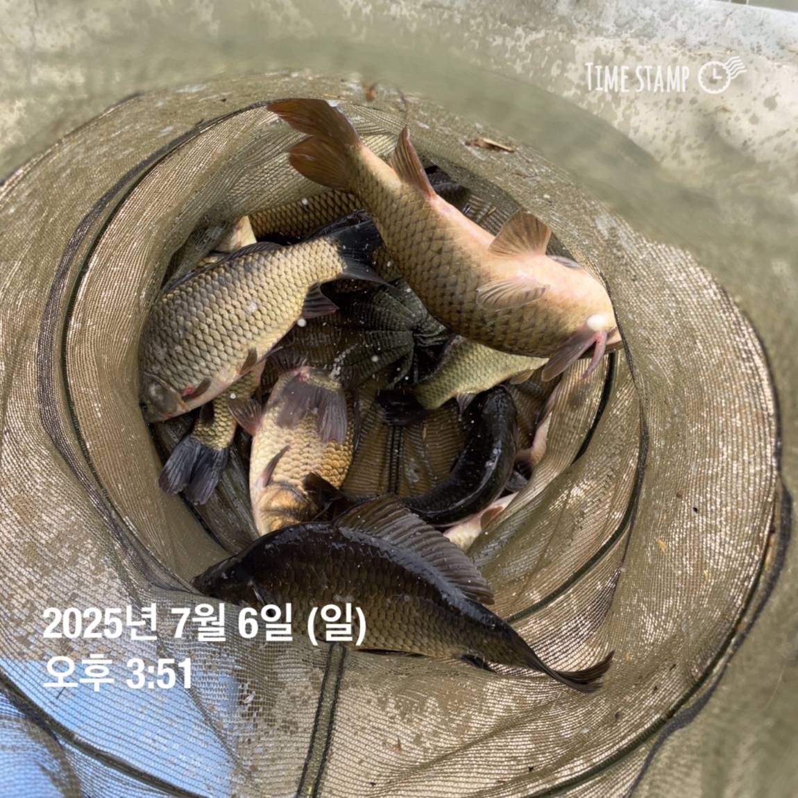 KakaoTalk_20250707_112641150_25.jpg