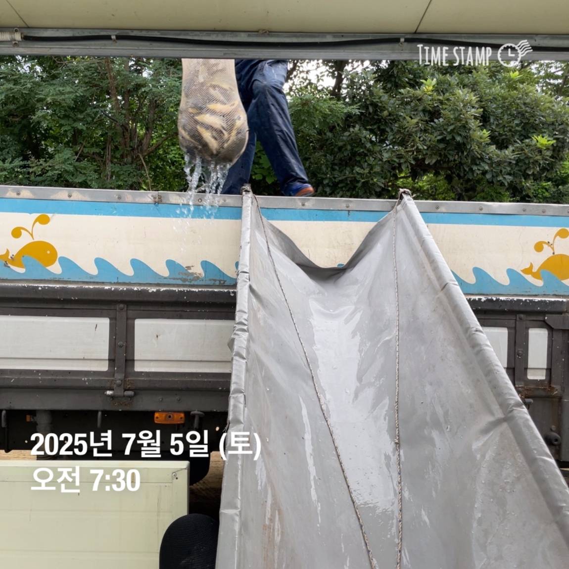 KakaoTalk_20250707_112641150_29.jpg