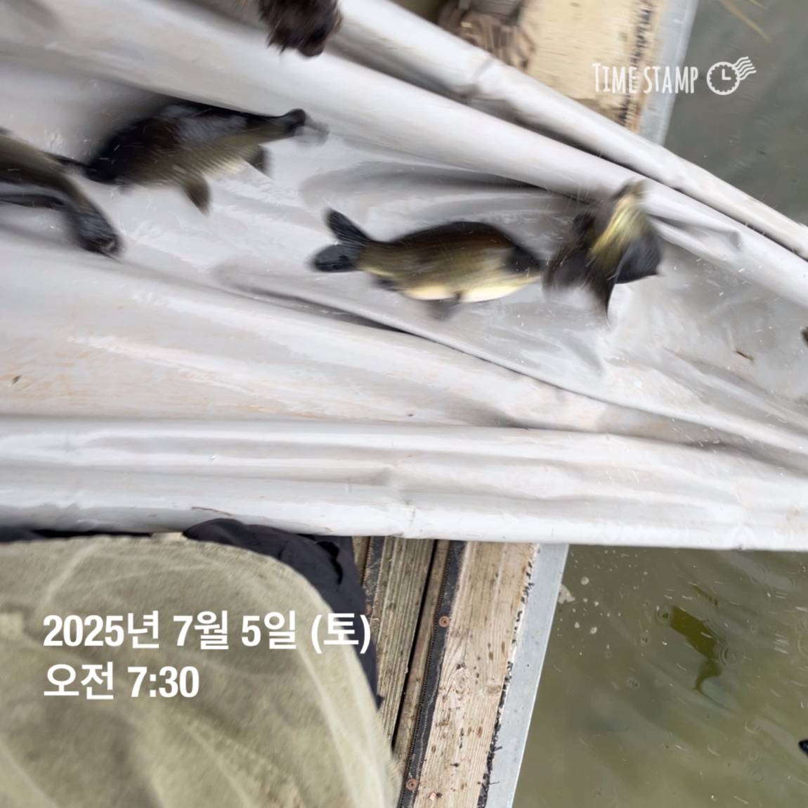 KakaoTalk_20250707_113759940_01.jpg