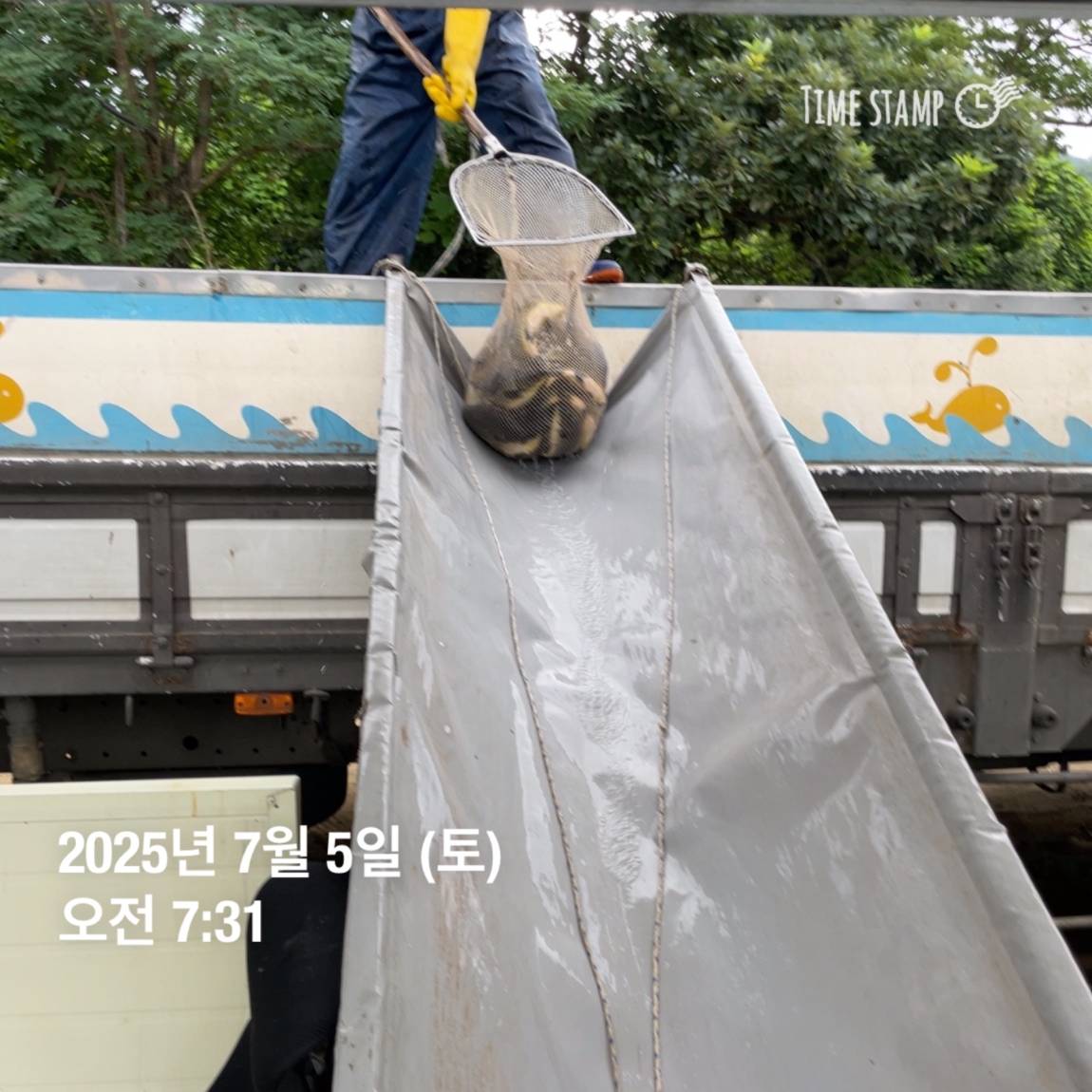 KakaoTalk_20250707_113759940.jpg