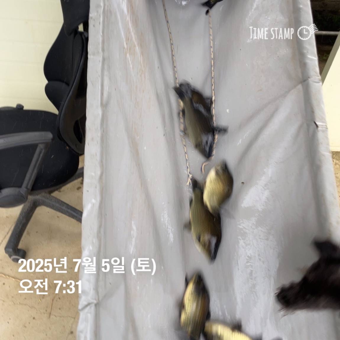 KakaoTalk_20250707_113759940_03.jpg