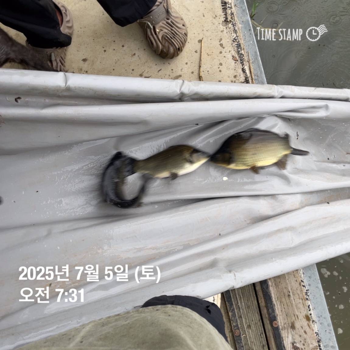 KakaoTalk_20250707_113759940_04.jpg