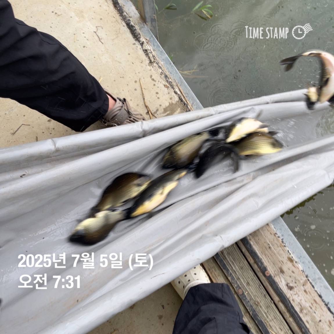 KakaoTalk_20250707_113759940_07.jpg