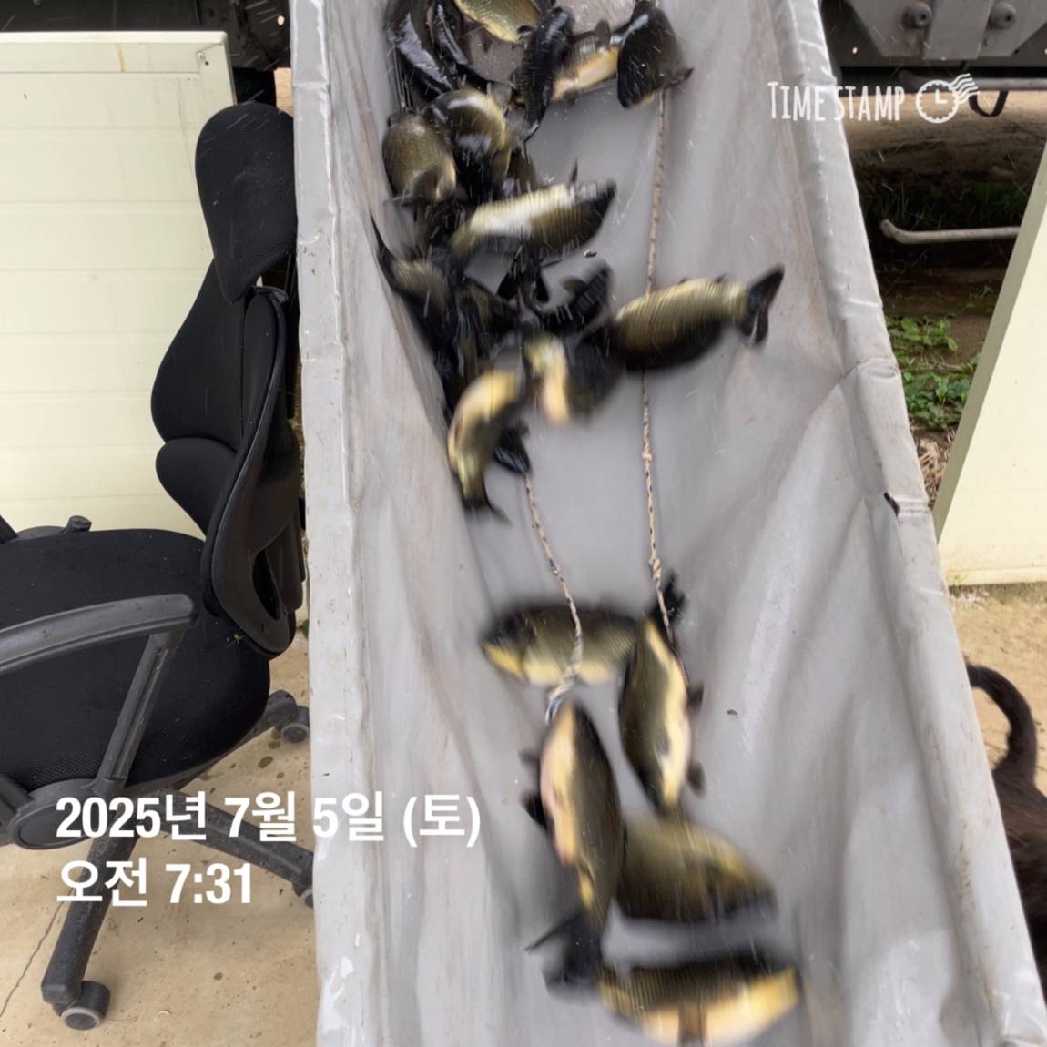 KakaoTalk_20250707_113759940_08.jpg