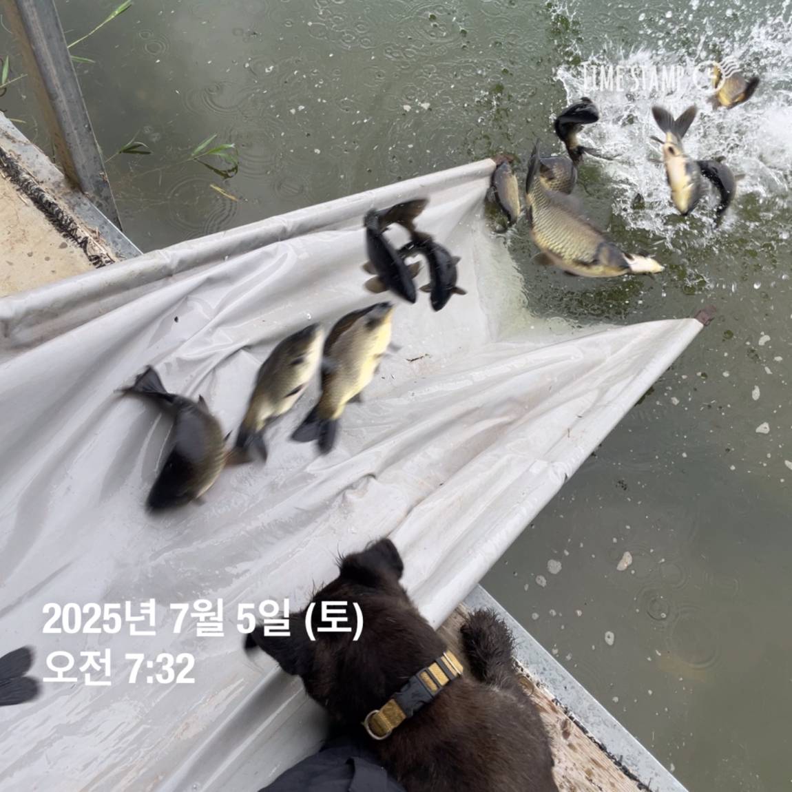 KakaoTalk_20250707_113759940_12.jpg