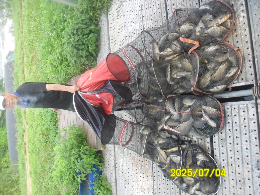SAM_4070.JPG