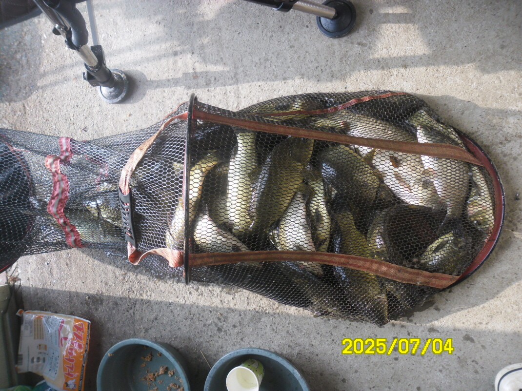 SAM_4082.JPG