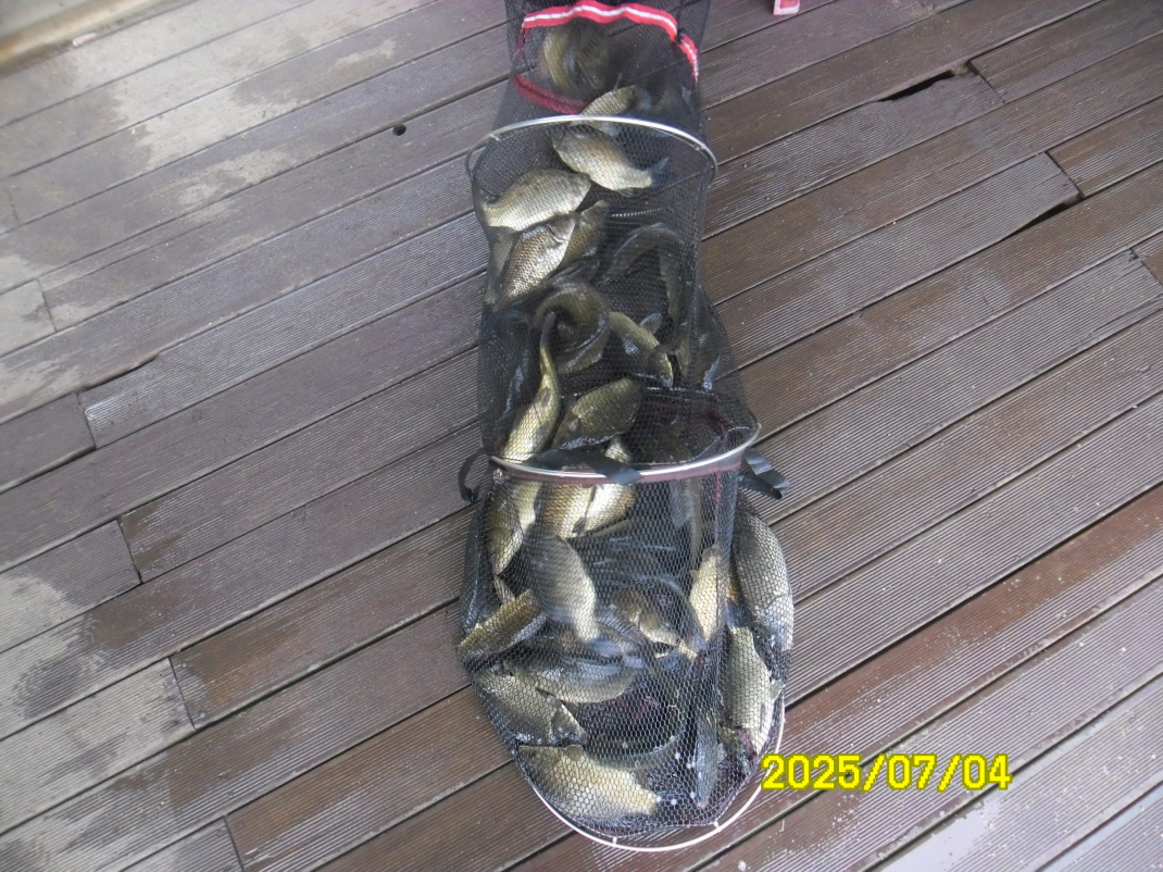 SAM_4087.JPG