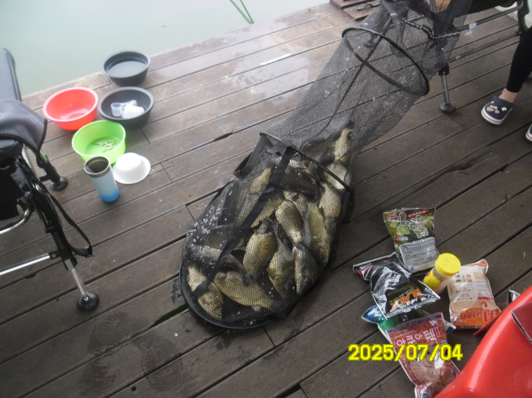 SAM_4089.JPG