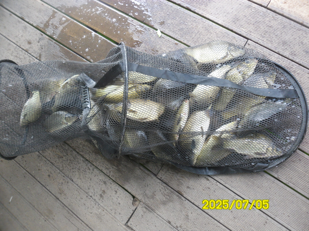 SAM_4109.JPG