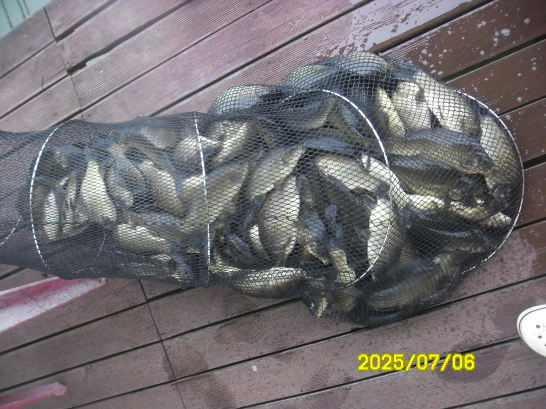 SAM_4166.JPG