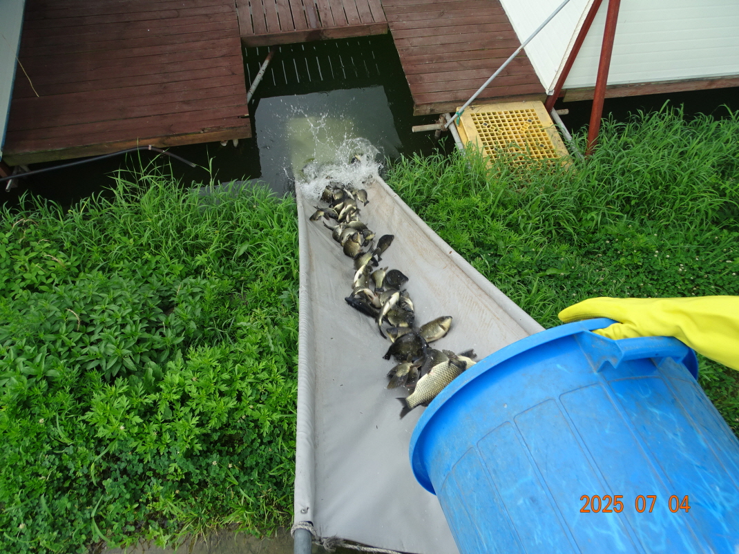 DSC04114.JPG