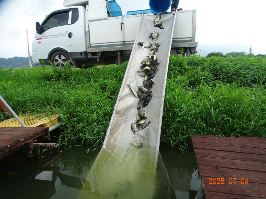 DSC04123.JPG
