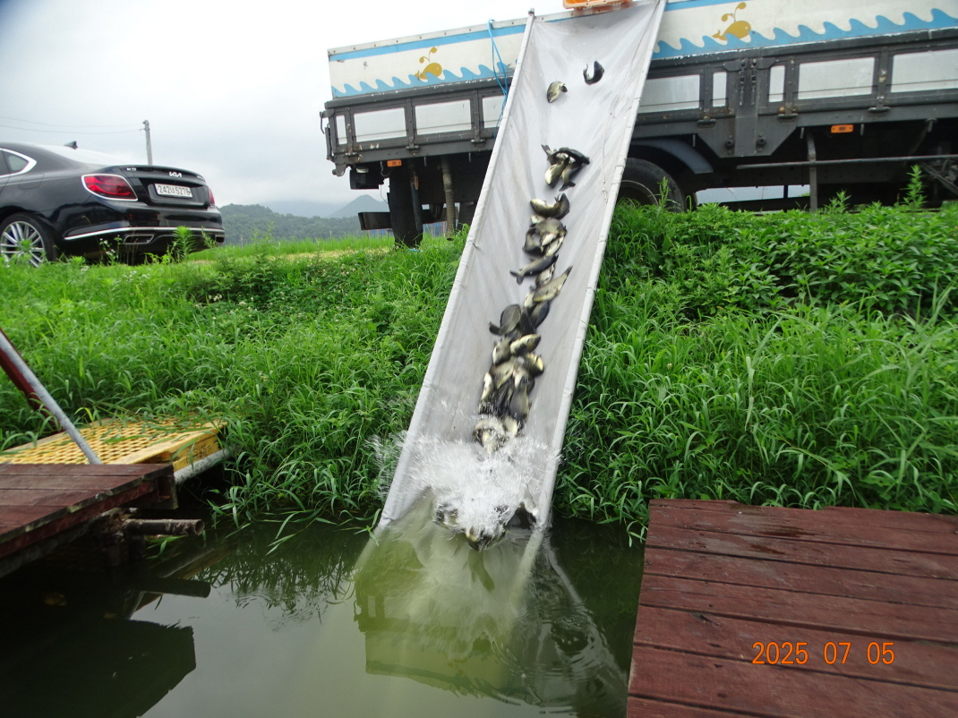 DSC04165.JPG