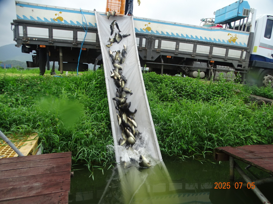 DSC04163.JPG