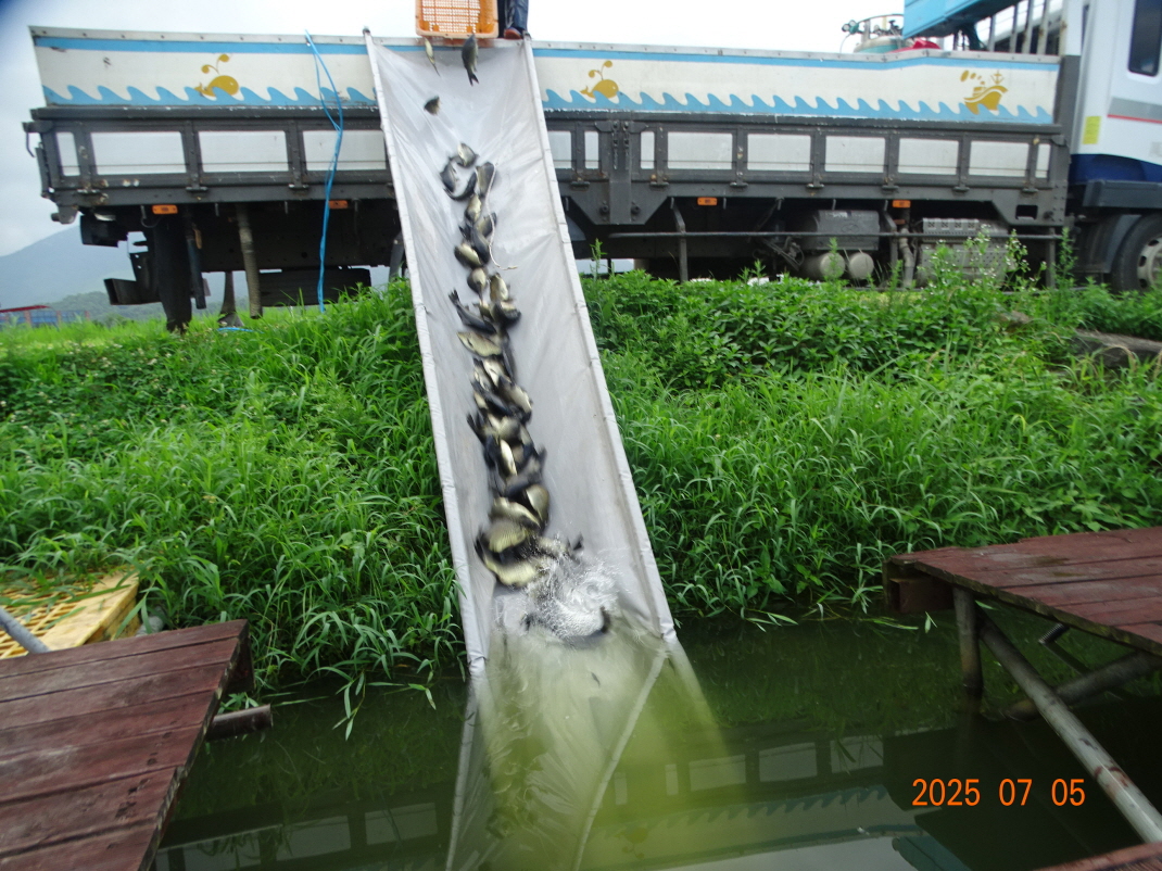 DSC04169.JPG