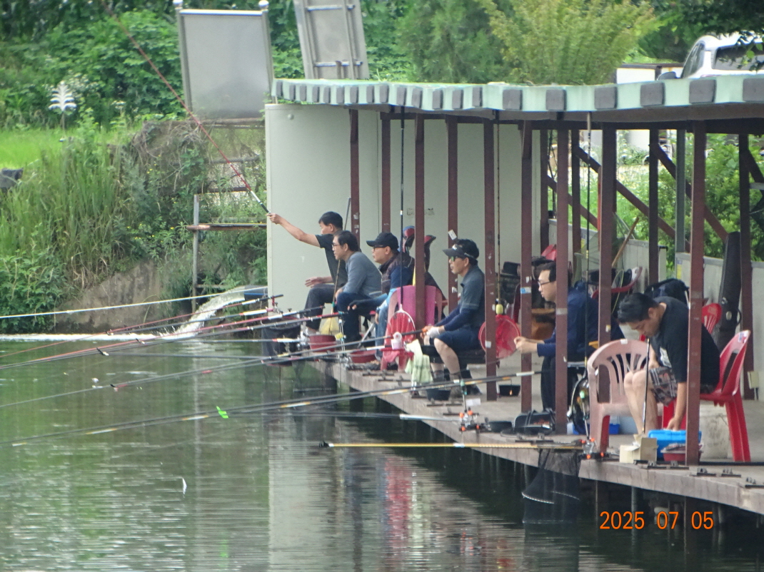 DSC04208.JPG