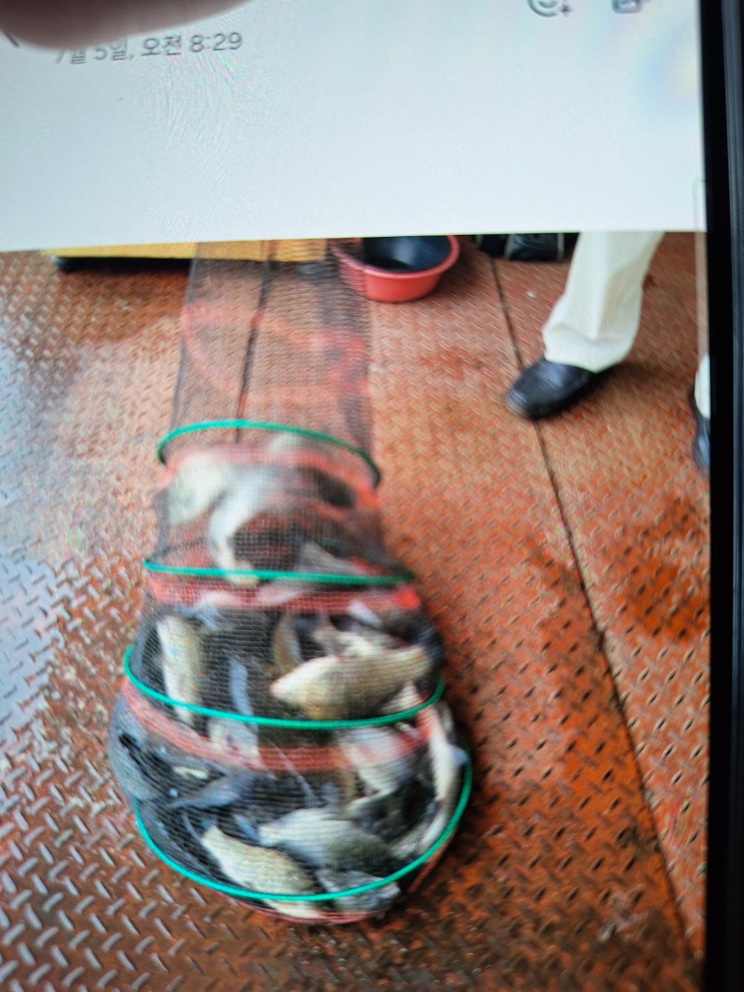 KakaoTalk_20250705_083319896.jpg