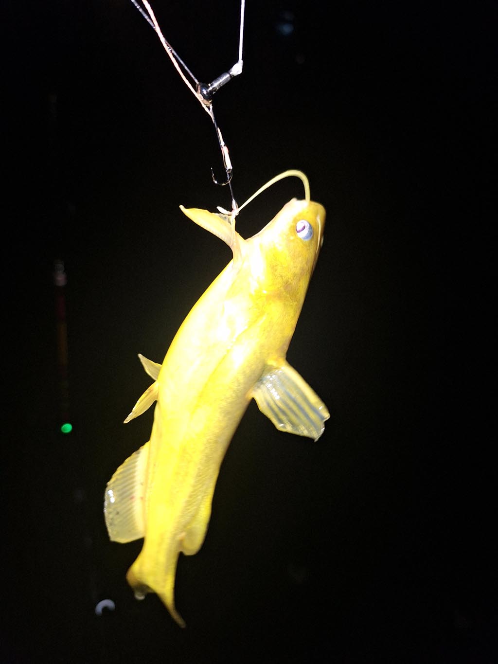 KakaoTalk_20250709_092635176.jpg