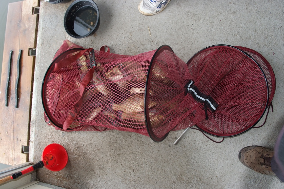 DSCF3951.jpg