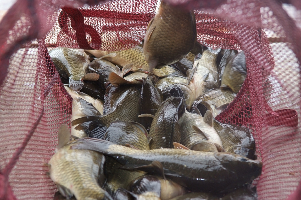 DSCF3953.jpg