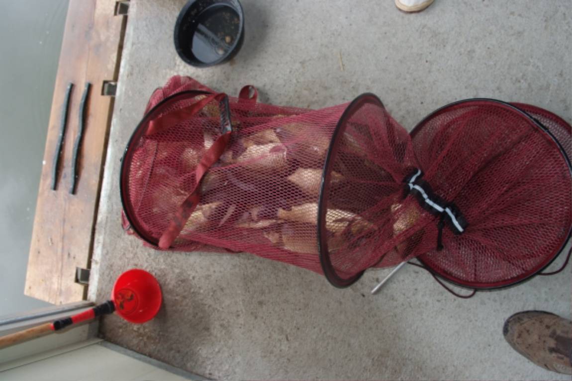 DSCF3952.JPG