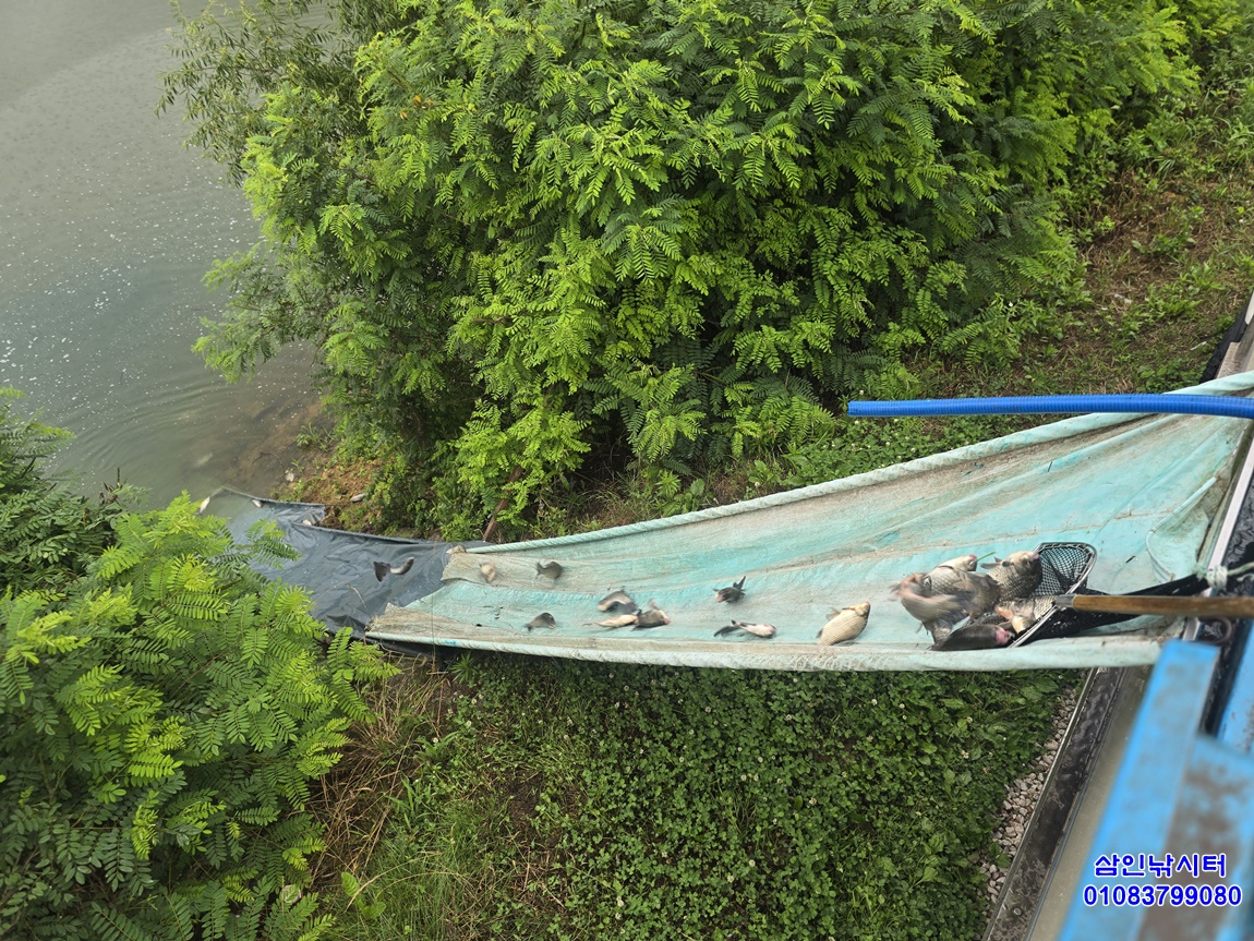 1752104313651.jpg