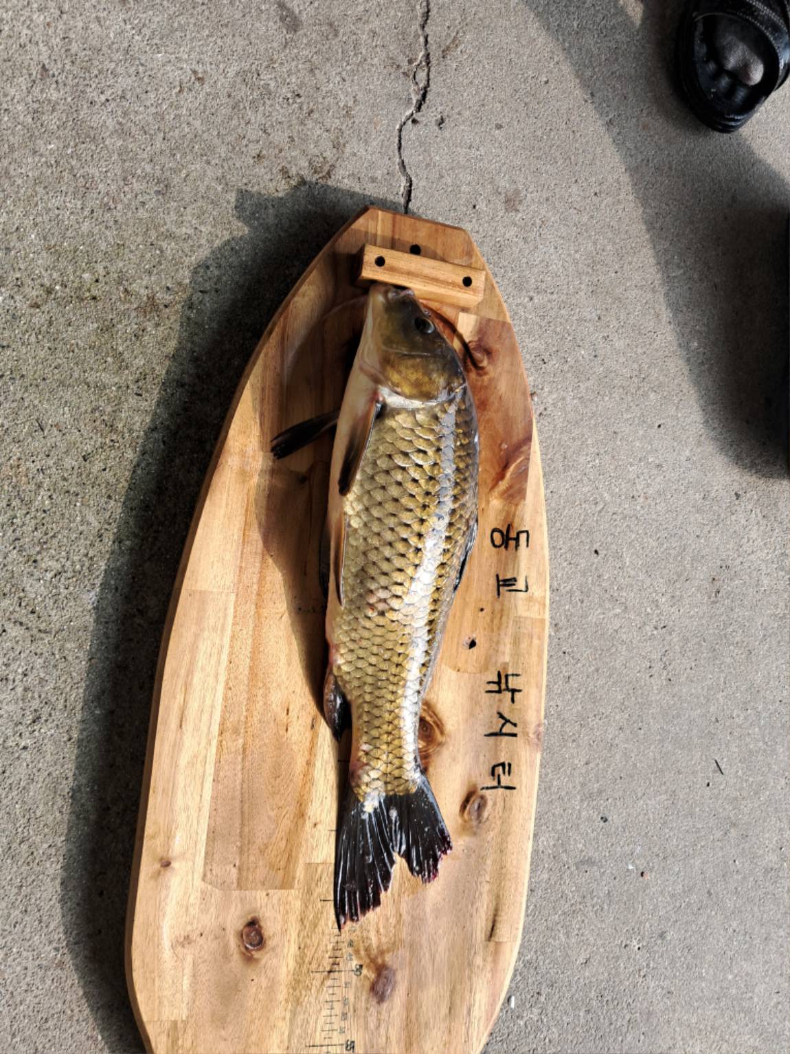 KakaoTalk_20250710_111530244_08.jpg