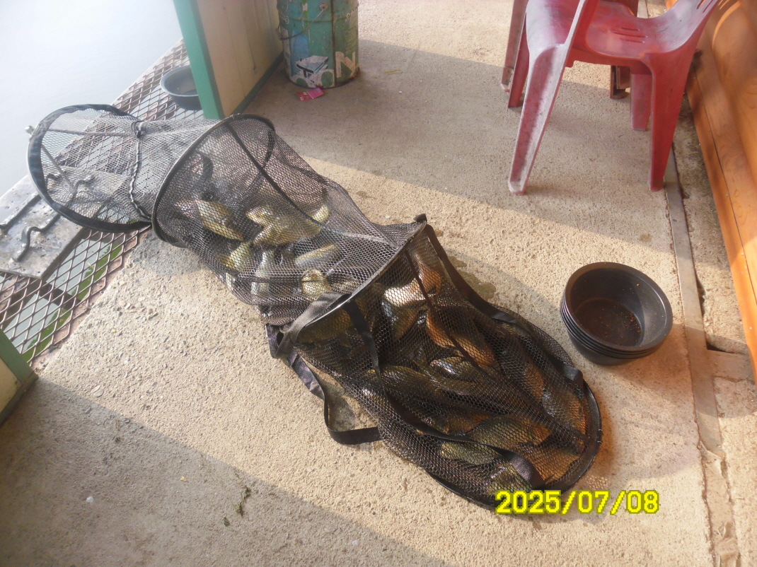 SAM_4206.JPG
