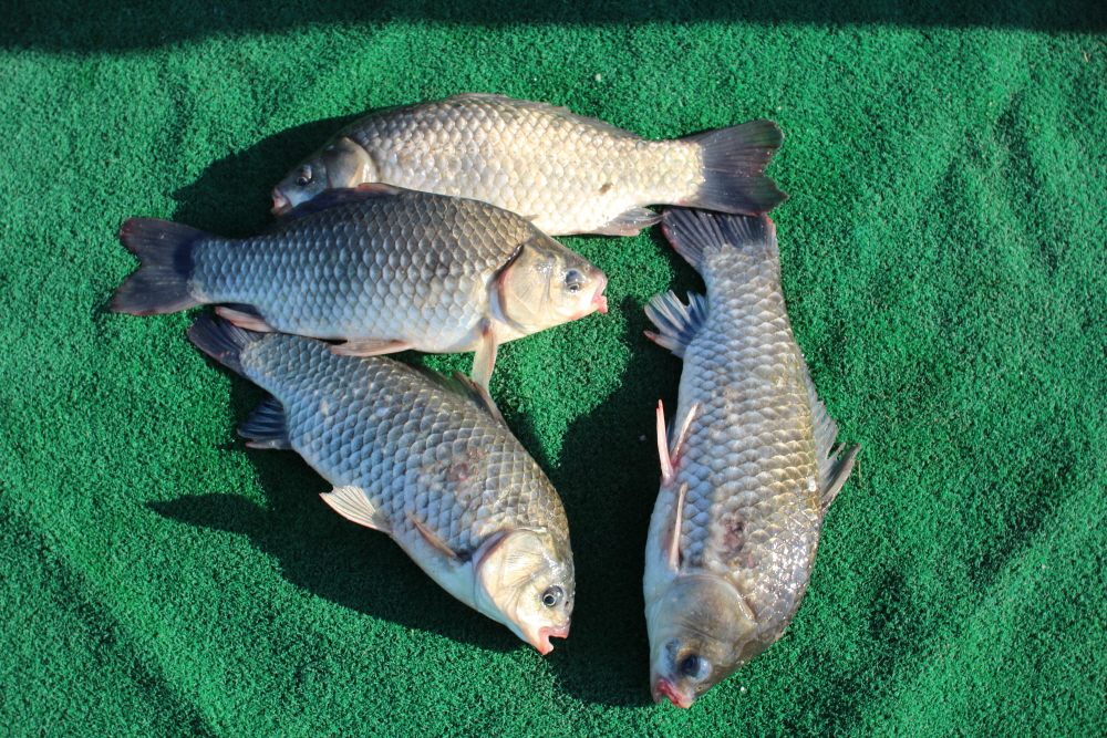 [ũ⺯ȯ]IMG_6796.JPG