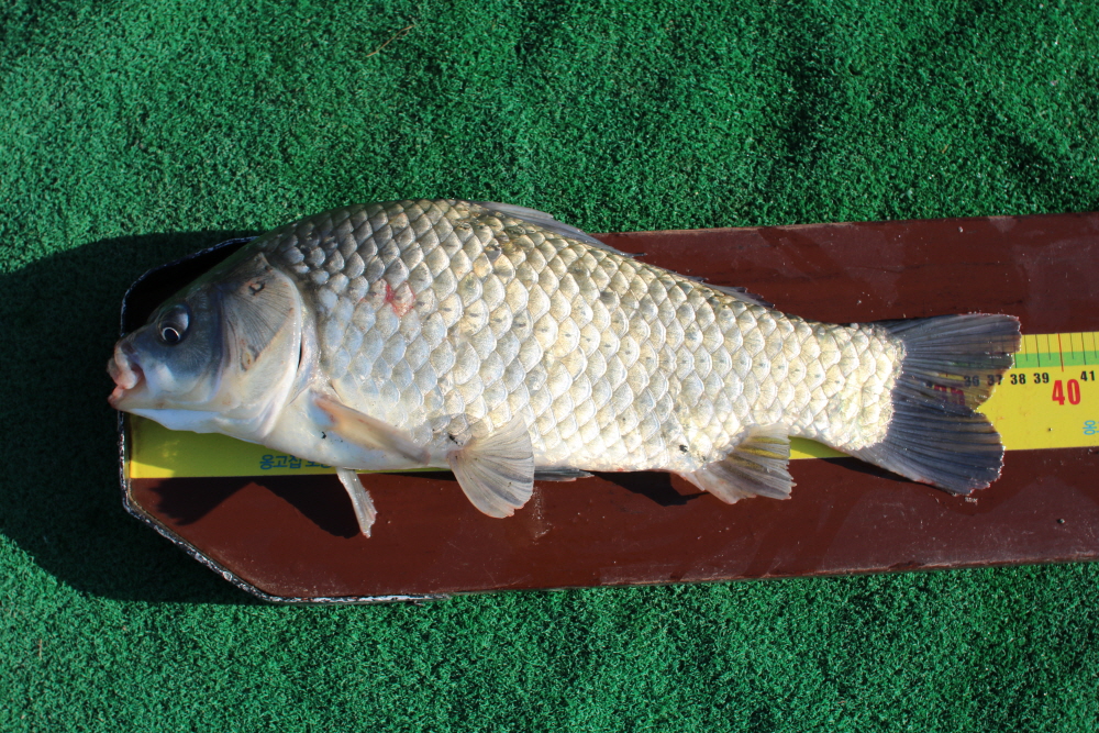 [ũ⺯ȯ]IMG_6797.JPG