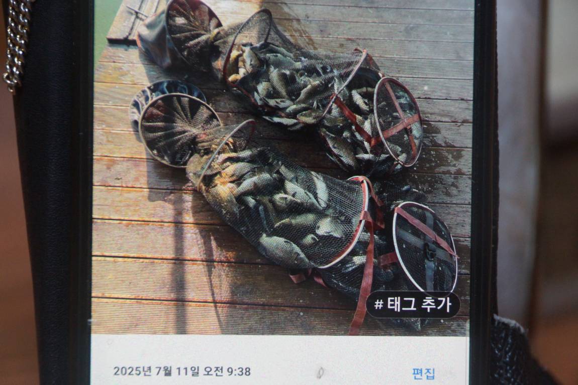 DSC01951.JPG