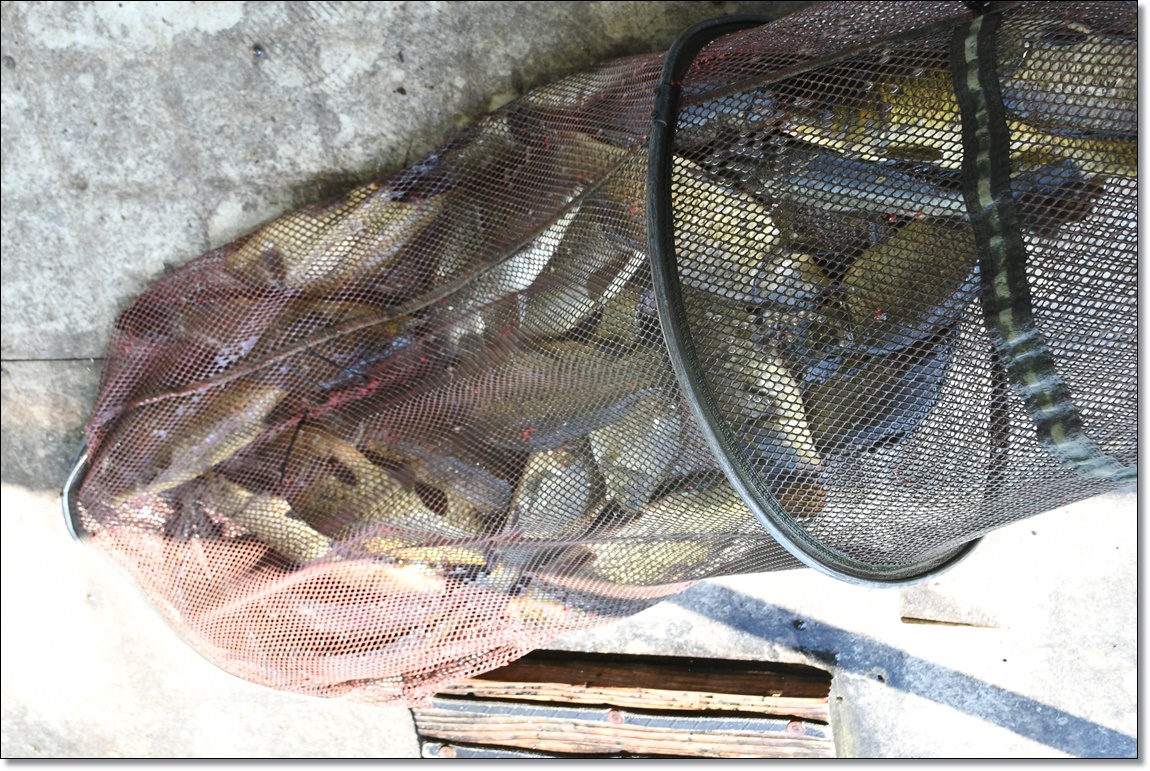 DSC_3642.JPG
