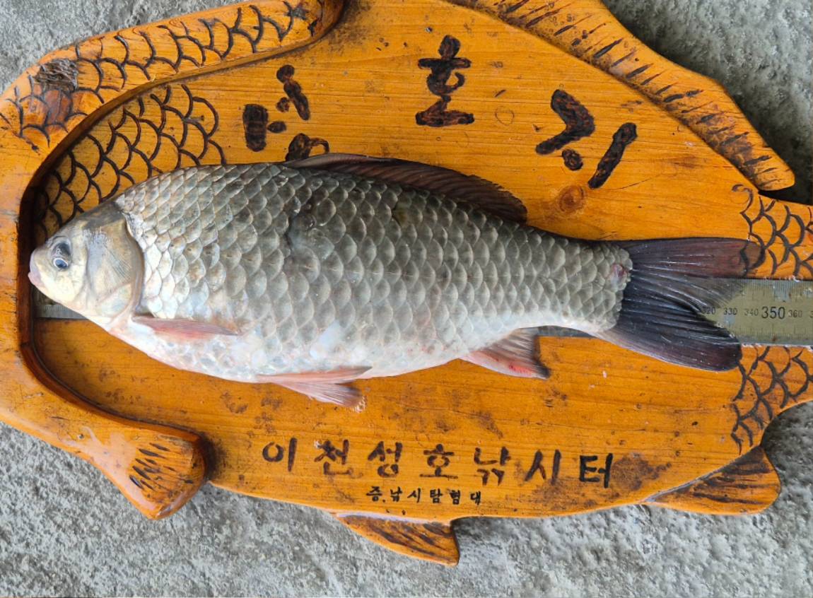 34.5-1 - 복사본.jpg