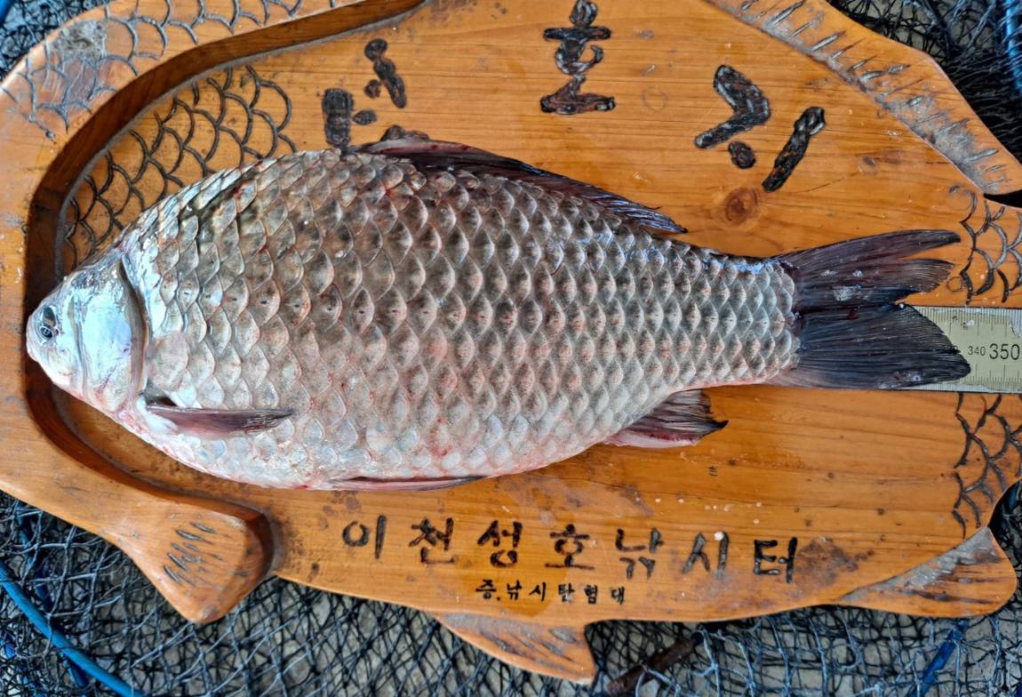 34-1 - 복사본.jpg