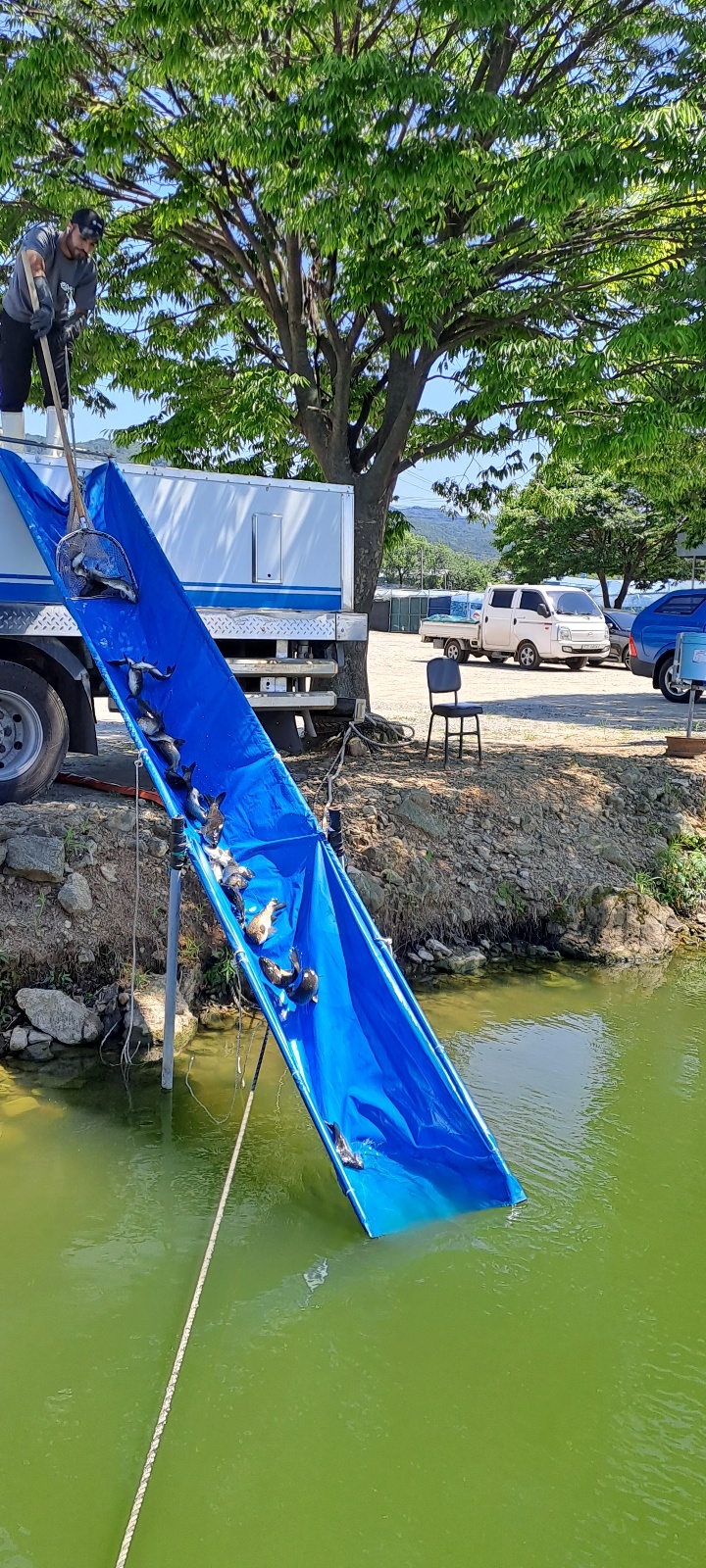 KakaoTalk_20250711_132850846_12.jpg